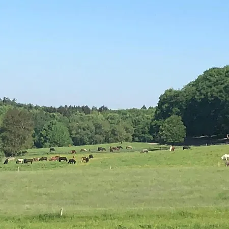 Grosszuegige Mitten Im Naturpark باد هونيف ام راين